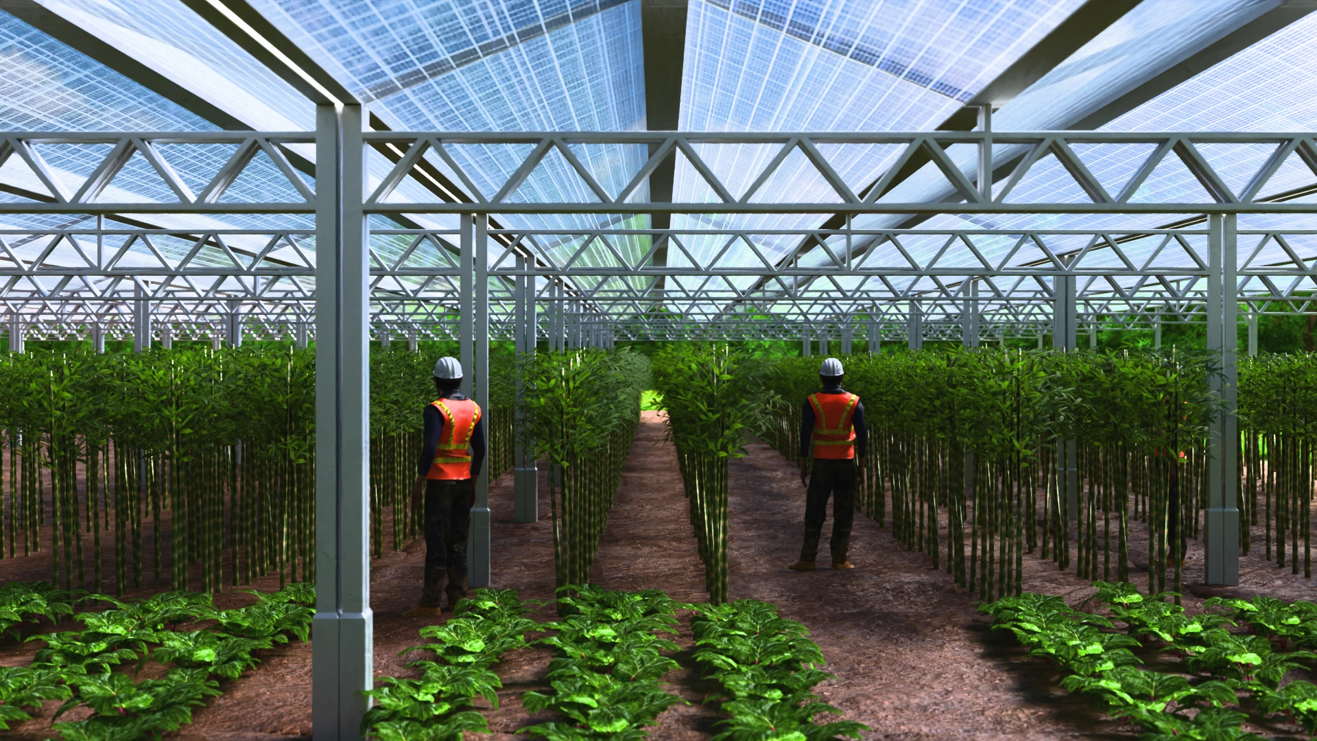 greenhouse interior with solar panels and plants